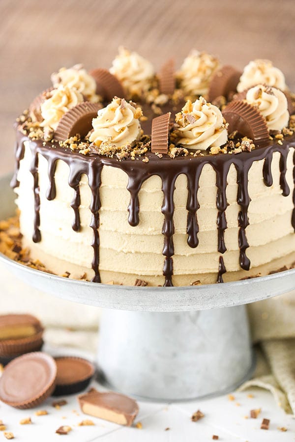 Peanut Butter Chocolate Cake