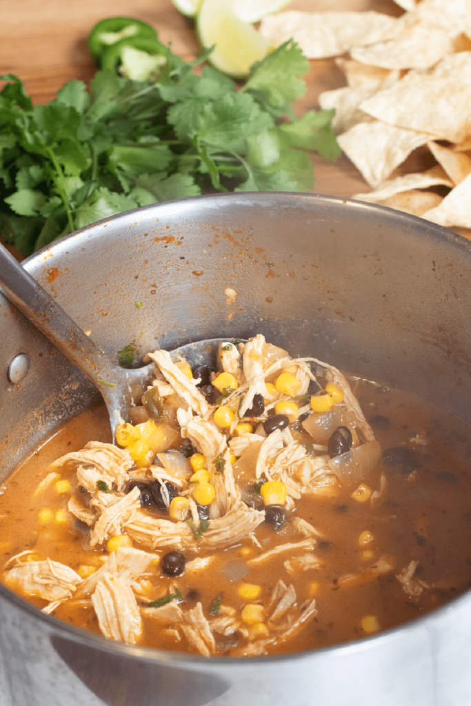 Chicken Enchilada Soup