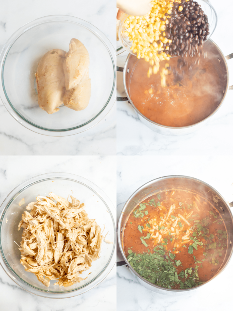 Chicken Enchilada Soup