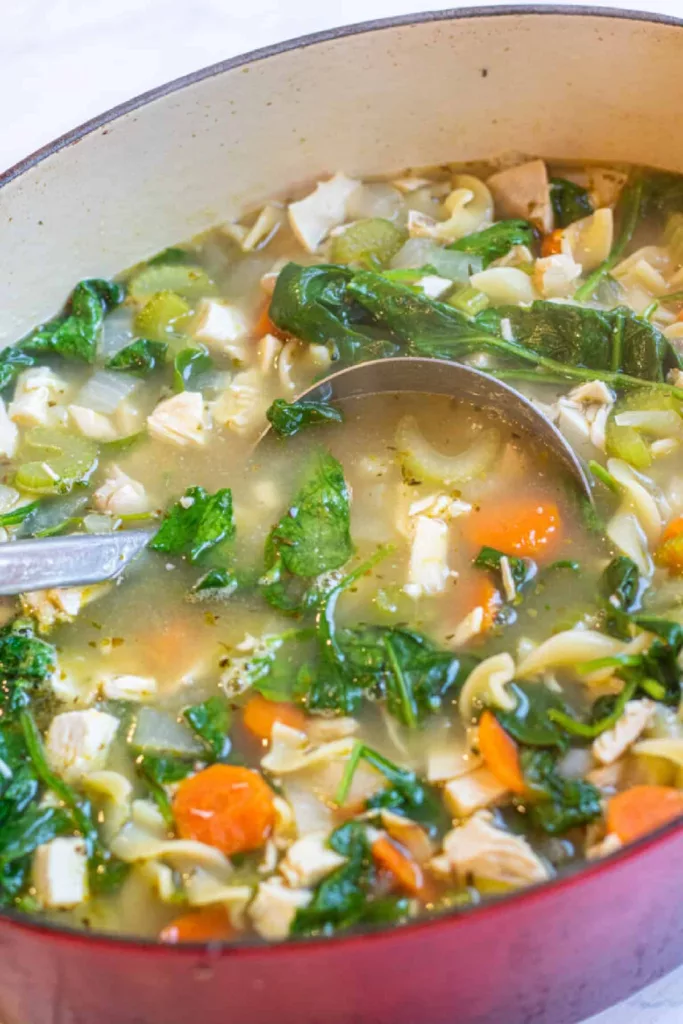 Leftover Turkey and Spinach Noodle Soup