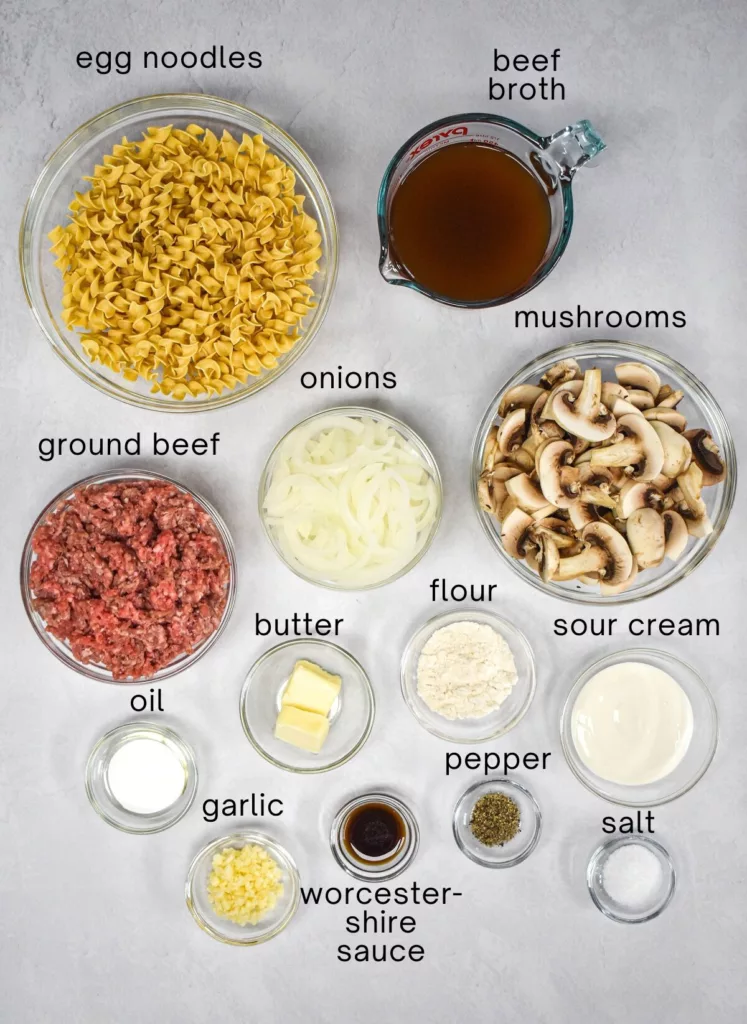 GROUND BEEF STROGANOFF INGREDIENTS