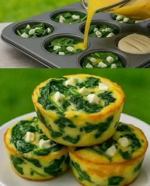 Spinach And Cheese Egg Muffins (Ready in 10 Minutes Prep!)