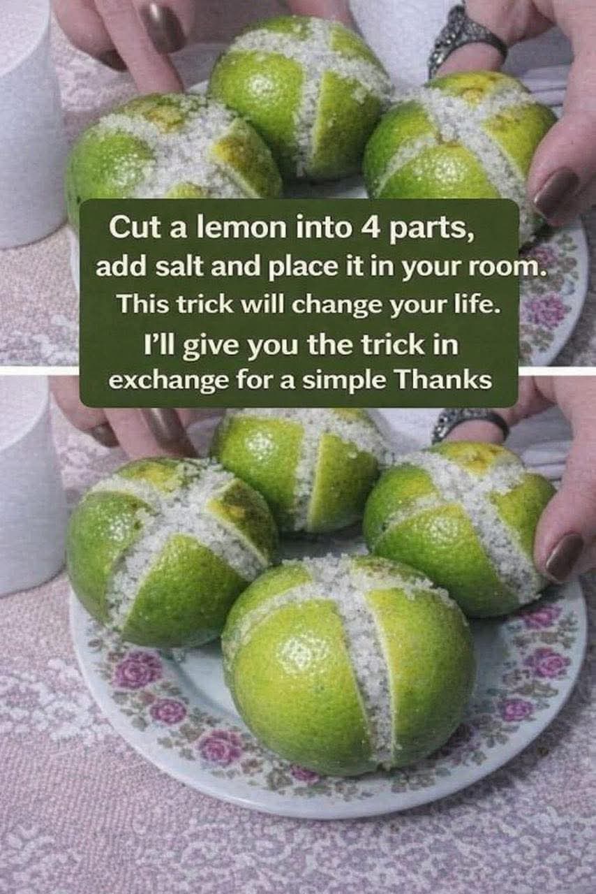 Cut a Lemon Into 4 Pieces Add Salt and Place It in Your Room – The Simple Home Trick Everyone Is Trying