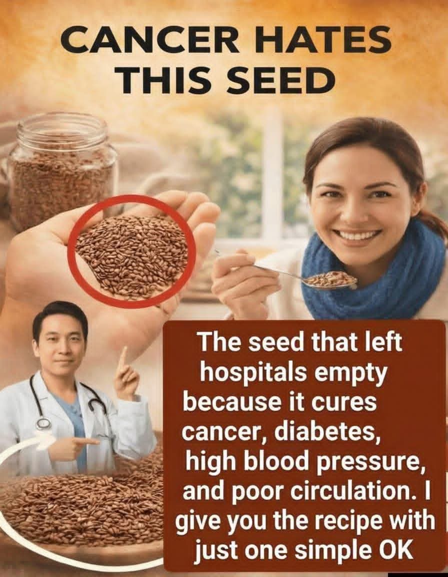 The Power of Seeds: Nature’s Anti‑Cancer Superfoods You Should Eat Every Day