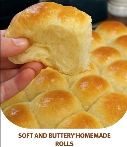 Soft and Buttery Homemade Rolls: Pillowy, Golden, and Irresistibly Tender